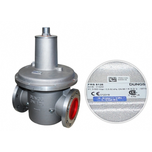 DUNGS FRS 5125 GAZ REGLATR