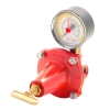 NOVACOMET APZ-120 1/4 INC - 1/4 INC, DEB:12 KG/H LPG DEDANTR, REGLATR